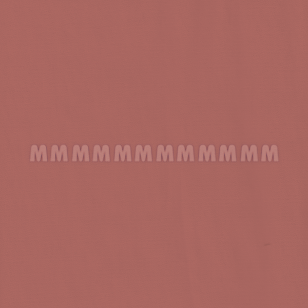 BENGALINA PD - Imagen 5